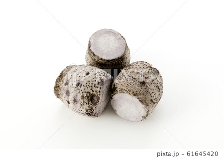 田芋 ターンム  61645420