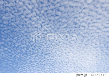 うろこ雲 61645442