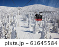 蔵王の樹氷 61645584