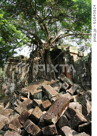 カンボジア世界遺産　アンコール遺跡群　ベンメリア 61645624