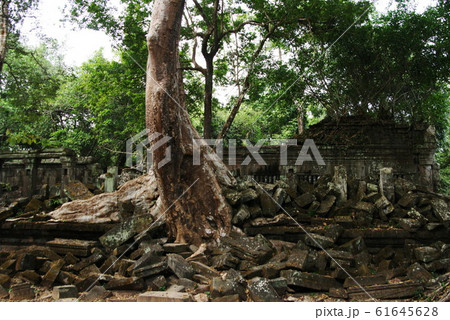カンボジア世界遺産 アンコール遺跡群 ベンメリア カンボジア世界遺産 アンコール遺跡群 ベンメリア 61645628