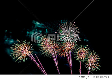 Beautiful colorful firework display at night for celebrate Beautiful colorful firework display at night for celebrate 61646293