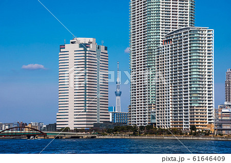 (東京都-都市風景)東京ウォーターフロント風景２ 61646409