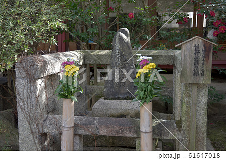 義仲寺 芭蕉翁墓 義仲寺 芭蕉翁墓 61647018