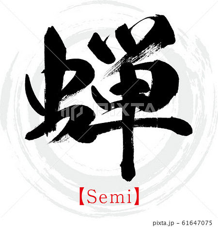 蝉・Semi（筆文字・手書き） 61647075