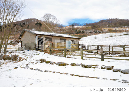 大野ヶ原 大野ヶ原 61649860