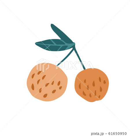 Cute funny apples in doodle style isolated on 61650950