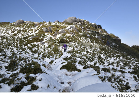 【屋久島】 新雪の宮之浦岳山頂付近の登山者 61651050