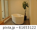 バスルーム 61653122