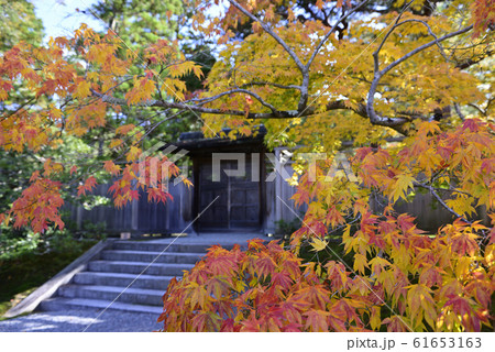 修学院離宮　下離宮 61653163