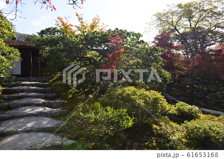 修学院離宮　下離宮 61653168