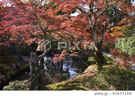 修学院離宮　下離宮 61653169