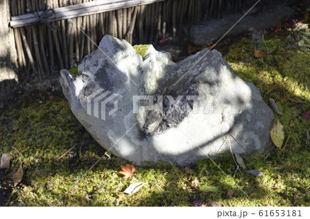 修学院離宮　下離宮 61653181