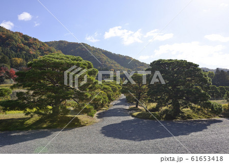 修学院離宮 松並木 修学院離宮 松並木 61653418