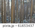 森林 61653437