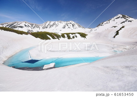 北アルプス　立山アルペン　春景色 61653450