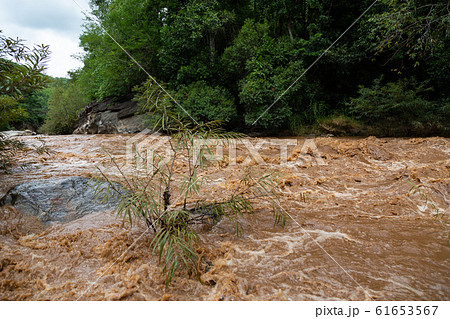 Natural disaster,powerful water currents and rapids churning in flowing stream river,dangerous flash flood of waterfall in nature,the major cause heavy flooding,including the impact of deforestation,n Natural disaster,powerful water currents and rapids churning in flowing stream river,dangerous flash flood of waterfall in nature,the major cause heavy flooding,including the impact of deforestation,n 61653567