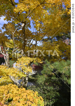 修学院離宮　中離宮 61653646