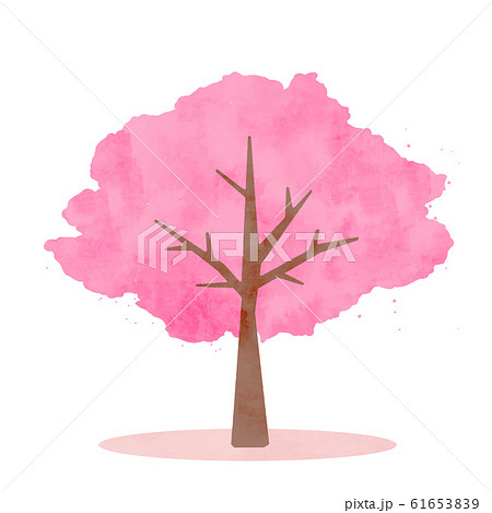 水彩調の美しい桜の木 挿絵 カットイラスト 春のイラストのイラスト素材