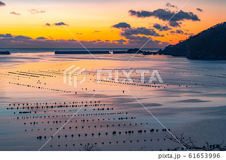 大船渡湾の朝焼け　【岩手県】 61653996