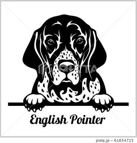 English Pointer Peeking Dogs Breed Face のイラスト素材