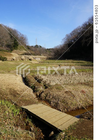 町田市の奈良ばい谷戸 町田市の奈良ばい谷戸 61654803