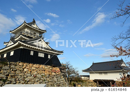 浜松城 61654846