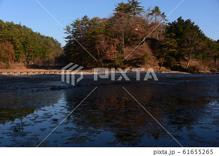 晩秋の黒澤湿原の池 61655265