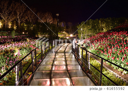 ラグーナテンボスイルミネーション(愛知県蒲郡市) ラグーナテンボスイルミネーション(愛知県蒲郡市) 61655592