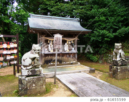 京都 京丹後市 金刀比羅神社 木島社と狛猫(初冬) 京都 京丹後市 金刀比羅神社 木島社と狛猫(初冬) 61655599
