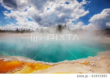 Yellowstone Yellowstone 61655895
