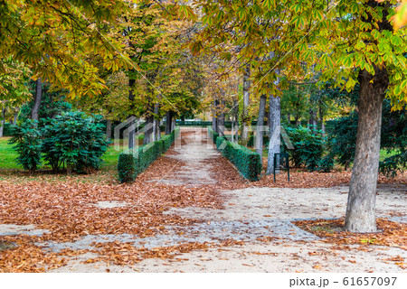Footpath in Buen Retiro Park in Madrid 61657097