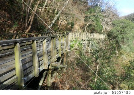 森林鉄道風歩道橋:星のブランコ:星田園地 森林鉄道風歩道橋:星のブランコ:星田園地 61657489
