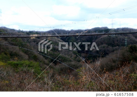 吊り橋:星のブランコ:星田園地 吊り橋:星のブランコ:星田園地 61657508