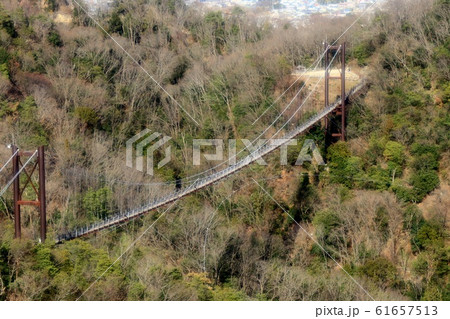 吊り橋:星のブランコ:星田園地 吊り橋:星のブランコ:星田園地 61657513