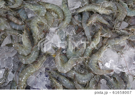 Pile of fresh White Leg sea shrimp sold in the supermarket. Pile of fresh White Leg sea shrimp sold in the supermarket. 61658007