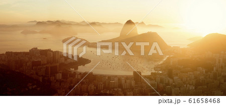 Aerial panorama of Rio de Janeiro city, Brazil 61658468