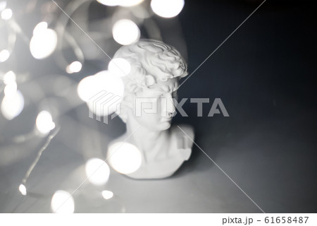 Gypsum statue of David's head. Michelangelo's 61658487