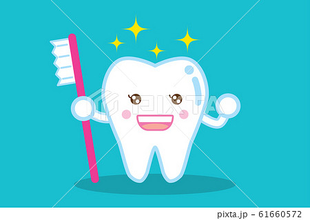 白い健康な歯と歯ブラシ healthy shiny white tooth and brush 61660572