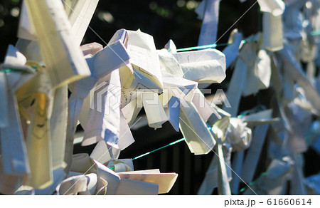 大宮公園（埼玉県さいたま市）のおみくじ納め所の風景 61660614