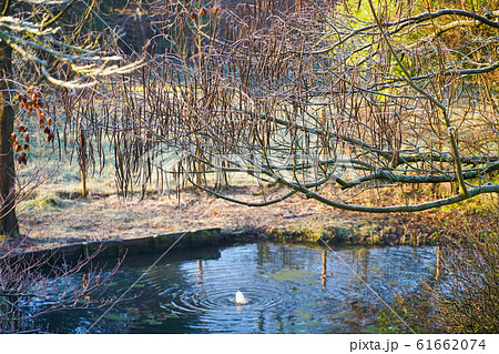 Winter at the pond in natural beautiful garden. Winter at the pond in natural beautiful garden. 61662074