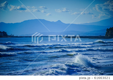 海 61663021