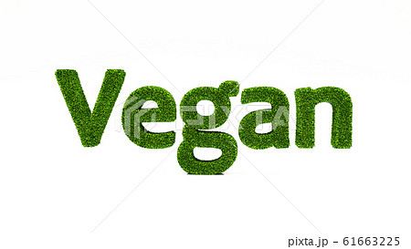 3D word VEGAN made of green grass, save the earth concept. 3D word VEGAN made of green grass, save the earth concept. 61663225
