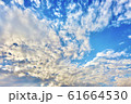 雲と青空 61664530