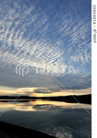 年末の狭山湖に鱗(うろこ)雲の夕焼けを写す 61664605