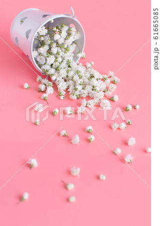 Small white flowers in a bucket on a pink Small white flowers in a bucket on a pink 61665085