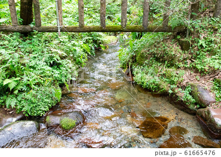 塩釜の冷泉の清流 塩釜の冷泉の清流 61665476