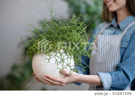 Woman holding a round pot with a beautiful plant 61665506