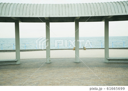 海岸 砂浜 海 61665699