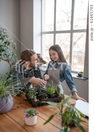Smiling man and woman looking after succulents together Smiling man and woman looking after succulents together 61665703